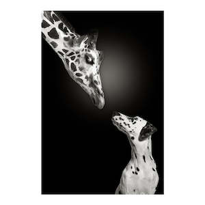 SPOTTED GIRAFFE DALMATIAN KISSES PRINT