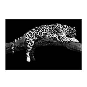 DOMINATION IV JAGUAR PRINT