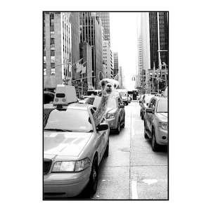 TAXI LLAMA CANVAS PRINT