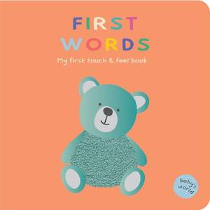 Touch And Feel First Words