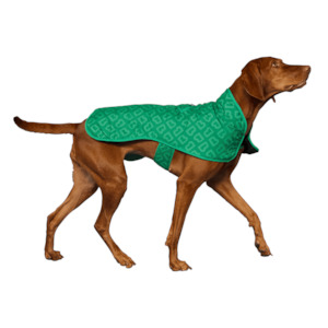 Dog Jackets: Dog Jacket Park Green