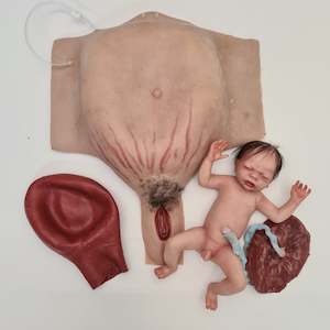 MO750 Wearable C-section model