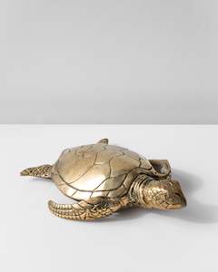 BRASS TURTLE