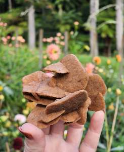 Desert Rose from Arizona