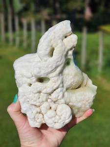 Caribbean Calcite & Aragonite Freeform