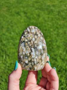 Stunning Ocean Jasper Freeform