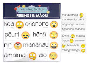 Magnetic Learning Resources - Feelings In Maori