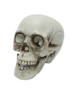 Variety: Decorative Skull (10cm)