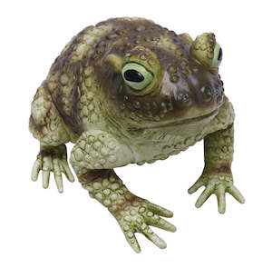 Variety: Jumbo Toad (25cm)