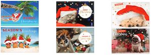 Christmas Card Bundle 10PK - Photographic