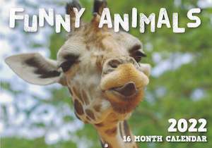 Variety: Calendar (Rectangle) - Funny Animals