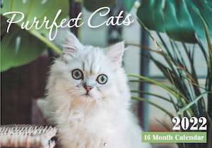 Calendar (Rectangle) - Purrfect Cats