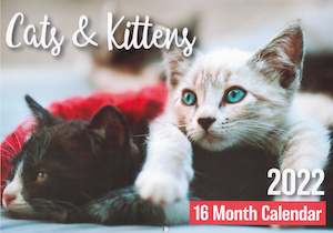 Variety: Calendar (Rectangle) - Cats And Kittens