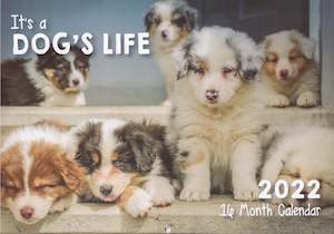 Calendar (Rectangle) - Its A Dogs Life