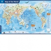 Artist supplies wholesaling: Wall Chart - Map of the World