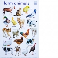 Artist supplies wholesaling: Wall Chart - Farm Animals