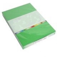 Artist supplies wholesaling: Colour card 225gsm A4 - Green(100)