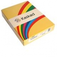 Artist supplies wholesaling: Colour paper A4 - yellow