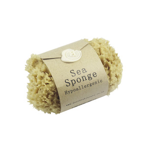 Anoint Skincare Kerikeri: Baby Sea Sponge