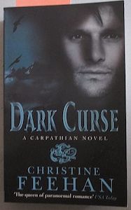 Dark Curse: Number 19 in series