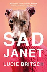 Books: Sad Janet: A darkly hilarious novel about finding happiness in time for Christmas