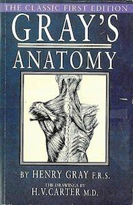 Gray's Anatomy by Henry Gray