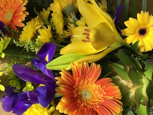 Chocolate: Florists choice - Vibrant