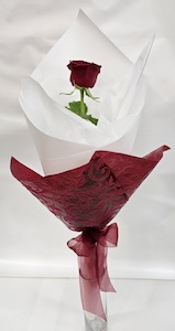 Chocolate: Single Red Rose