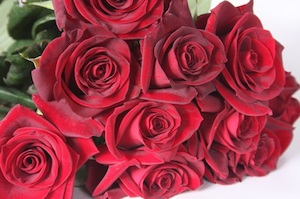 Chocolate: Dozen Red Roses