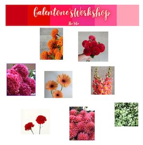 Galentine's Workshop