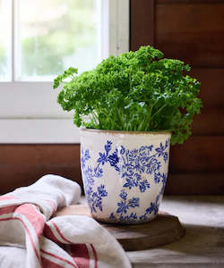 Gift: Blue Floral Herb Pot Large