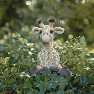 Wrendale Plush Junior 'Camilla' Giraffe