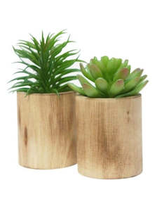 2 Asst Sml Succulent In Wooden Planter