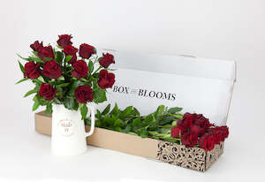 Red Rose Blooms (1 Dozen)