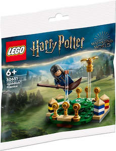 LEGO Harry Potter 30651 Quidditch Practice