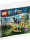 LEGO Harry Potter 30651 Quidditch Practice