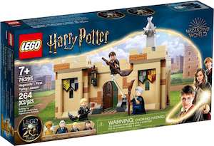 LEGO Harry Potter 76395 Hogwarts: First Flying Lesson