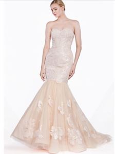 71304 Elegant champagne gown with floral applique