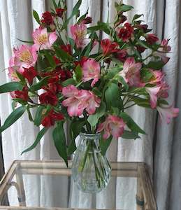 Flowers for the Home or Office - cut flowers