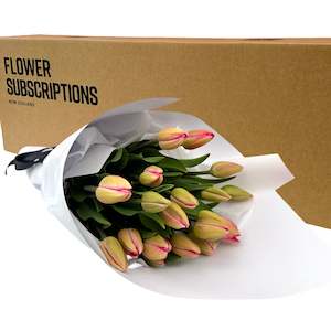 Flower: Seasonal Tulips Subscription Box