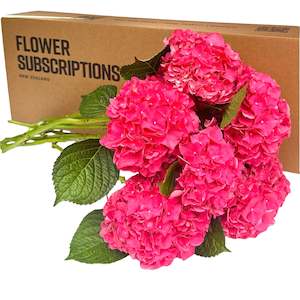 Flower: Seasonal On Mass Subscription Box