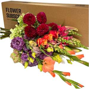 Bright & Vibrant Subscription Blooms