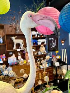 Vintage Flamingo Taxidermy-IN-STORE PICK UP ONLY