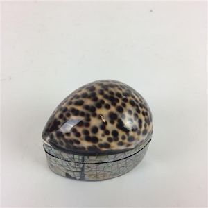 Tiger Shell Box