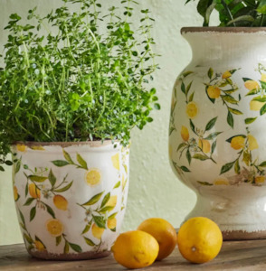 Botanical Lemon Pot | Large