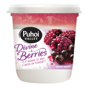 Puhoi Divine Berries Yoghurt 450g