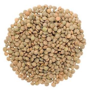 Pulses Legumes: Brown Lentils- Organic Pre Packed 500g