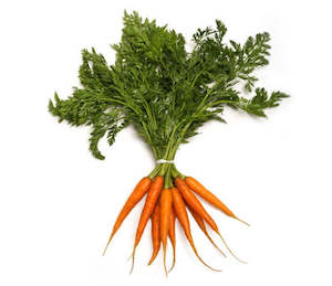 Spring Carrots-  Bunch