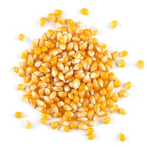 Organic Popping Corn 1kg