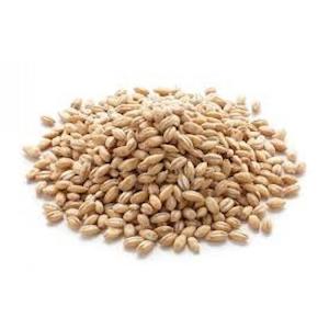 Pasta Grains: Pearled Barley- Organic Pre Packed 500g